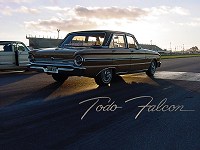 Wallpaper (Ford Falcon Futura 1967 y Futura 1971 en el autodromo de La Plata)
