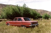 Falcon Standard 1972 (Coral Tahiti)